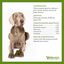 24 barritas Whimzees Snacks Dentales Cocodrilo para perros de razas pequeñas, , large indicador imagen numero 2